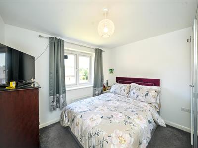 Picture 20